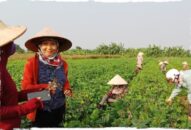 Tạo nguồn vốn giúp phụ nữ nông thôn khởi nghiệp