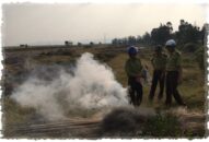 Chi cục Kiểm lâm Hoàn thành 87/124 nhiệm vụ được giao