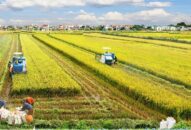 Hướng tới mục tiêu xây dựng nông thôn mới kiểu mẫu