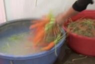 Chuyện thời cuộc: Hại mình