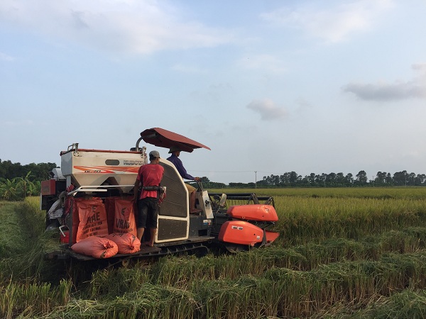 Thu nhập của người dân nông thôn không ngừng được cải thiện