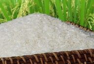 Chuyện thời cuộc: Nâng cao giá trị của gạo