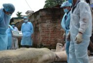 Chuyện thời cuộc: Dịch bệnh “tham nhũng vặt”