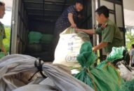 Huỷ gần 600 kg thuốc nam “trị tiểu đường” chưa kiểm nghiệm hiệu quả