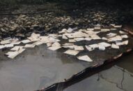 Kịp thời khắc phục sự cố tràn dầu tại Công ty xi măng Chinfon