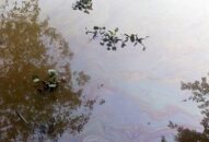 Khẩn trương khắc phục sự cố tràn hơn 7 khối dầu ra môi trường