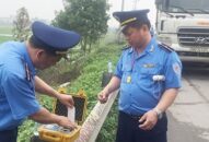 Tái diễn tình trạng xe chở quá tải, gây mất an toàn giao thông