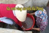 Chủ vựa rươi tiết lộ con đường tiêu thụ “lộc trời” ra nước ngoài