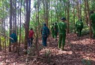 Hải Phòng: Truy bắt kẻ khống chế nữ lái xe taxi đòi tiền chuộc