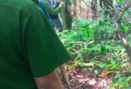 Nghi án nữ tài xế taxi bị khống chế, đòi tiền chuộc