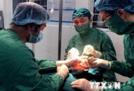 Hải Phòng: Nối liền bàn tay đứt rời bằng kỹ thuật vi phẫu