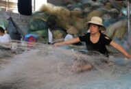 Quận Đồ Sơn: Tổng giá trị thủy sản cả năm ước đạt 626,9 tỷ đồng