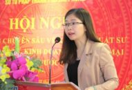 Tập huấn chuyên sâu về kỹ năng của luật sư trong lĩnh vực đầu tư, kinh doanh, thương mại có yếu tố nước ngoài