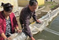 35/35 cơ sở chưa đáp ứng điều kiện sản xuất, ương dưỡng giống thủy sản