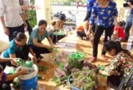 Hội LHPN huyện Cát Hải: Nói không với túi ni lông, sản phẩm nhựa dùng một lần