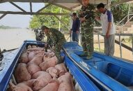 Chuyện thời cuộc: Quyết liệt để tự bảo vệ mình