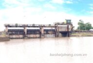 Ứng phó tình trạng xâm nhập mặn tại các hệ thống thủy lợi: Chủ động điều tiết nước hợp lý