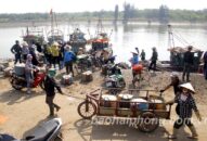 Người dân Thôn Nam Hải (xã Đoàn Xá, Kiến Thuỵ): Vui được mùa tép biển