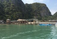 Hải Phòng: Khởi tố vụ án hình sự xảy ra tại Vườn quốc gia Cát Bà