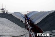 Thêm 3.000 tấn than không rõ nguồn gốc bị cảnh sát biển tạm giữ