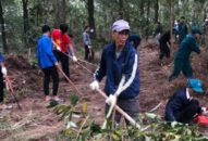 Ra quân dọn thực bì phòng chống cháy rừng