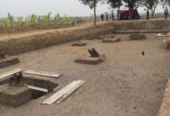 Cận cảnh bãi cọc Bạch Đằng gần ngàn năm tuổi tại Hải Phòng