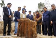 Phát lộ bãi cọc gần nghìn năm tuổi bên sông Bạch Đằng