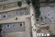 Hải Phòng: Khai quật bãi cọc gỗ thuộc trận chiến Bạch Đằng lần thứ 3