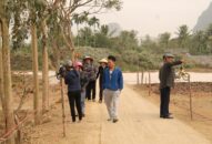 Tấp nập khách về thăm bãi cọc liên quan đến trận chiến trên sông Bạch Đằng