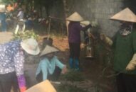 Hải Phòng: Huy động, tranh thủ nguồn lực giúp nông dân làm giàu