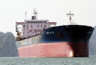 Vận tải biển lỗ gần 500 tỉ đồng