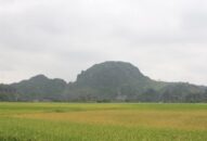 Công tác thu, chi ngân sách nhà nước trên địa bàn huyện An Lão: Chuẩn bị nền tảng vững chắc cho những mục tiêu cao hơn