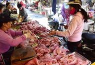 Việt Nam nhập khẩu 100.000 tấn thịt lợn – tín hiệu tích cực cho thị trường?!
