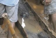 Nhiều người dân tự ý khai quật mộ, tự xưng danh Trạng Trình