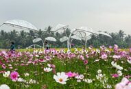 Từ 27 – 29/12/2019 tại KCN Nam Cầu Kiền sẽ diễn ra Lễ hội hoa sắc màu hội tụ năm 2020