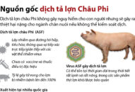 Hải Phòng: 155 xã, phường đã qua 30 ngày không phát sinh ổ Dịch tả lợn Châu Phi mới