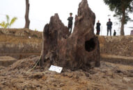 Có thể làm bảo tàng toàn cảnh về chiến trận Bạch Đằng