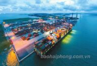 Các cảng khu vực Hải Phòng năm 2020: Hướng đến kỷ lục 150 triệu tấn hàng