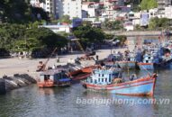 Khai thác thủy sản năm 2019: Tiếp tục được mùa