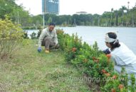 Đô thị thay “áo mới” đón Xuân