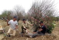 Lao động thời vụ, bán thời gian giáp Tết: Việc nhiều, thu nhập cao