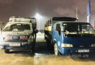 Kiểm tra 2 xe tải chở lợn thiếu giấy tờ kiểm dịch