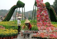 Dự án cải tạo và chỉnh trang Vườn hoa Kim Đồng: Chạy đua với thời gian