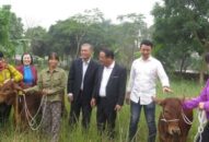 Trao 11 con bê tặng hộ nghèo, cận nghèo huyện An Dương