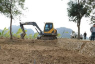 Hải Phòng lấp bãi cọc Cao Quỳ để bảo tồn