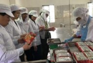 Tăng cường bảo đảm ATTP dịp Tết Nguyên đán Canh Tý 2020