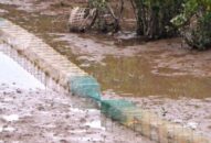 Ban quản lý vịnh Cát Bà: Tiêu hủy hơn 1.000 m lồng bát quái