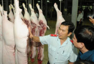 Siết chặt quản lý thị trường, nguồn gốc thịt lợn dịp Tết