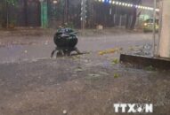 Hơn 12.000 ngôi nhà ở 6 tỉnh miền Bắc bị hư hại do mưa đá và dông lốc