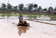 Đã có địa phương đầu tiên lấy đủ nước gieo cấy vụ Xuân 2020